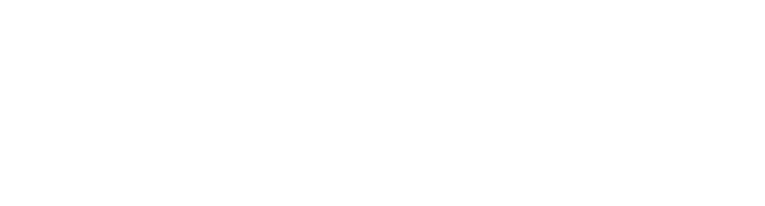 wxellence_logo_bl
